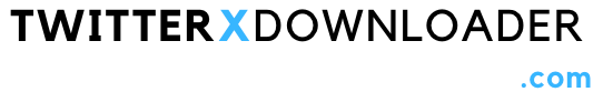 X Twitter Video Downloader